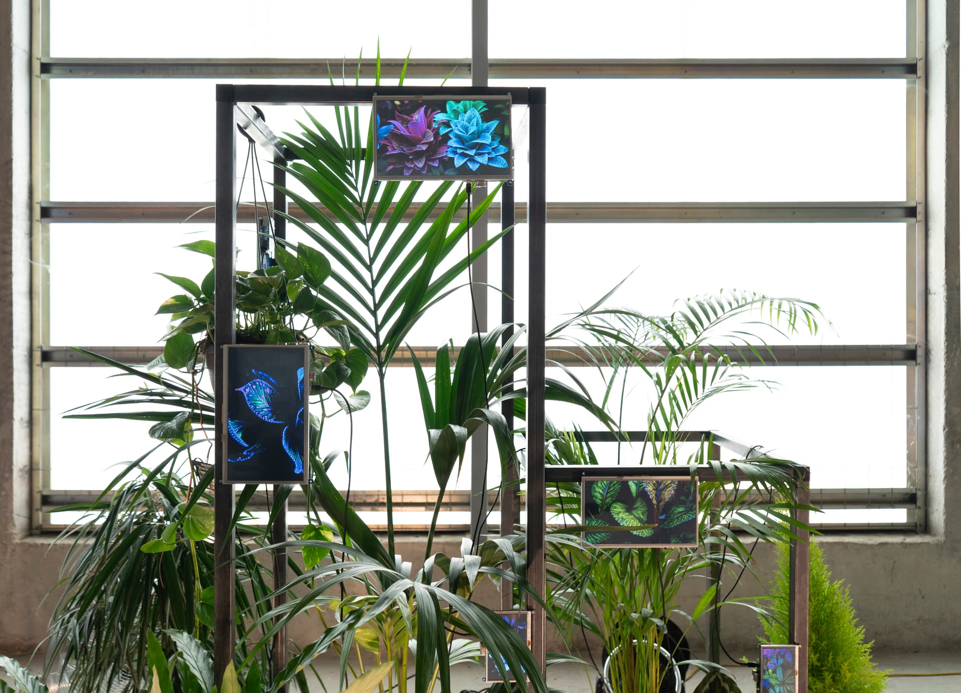 Symbiosis - Interactive Plant Installation