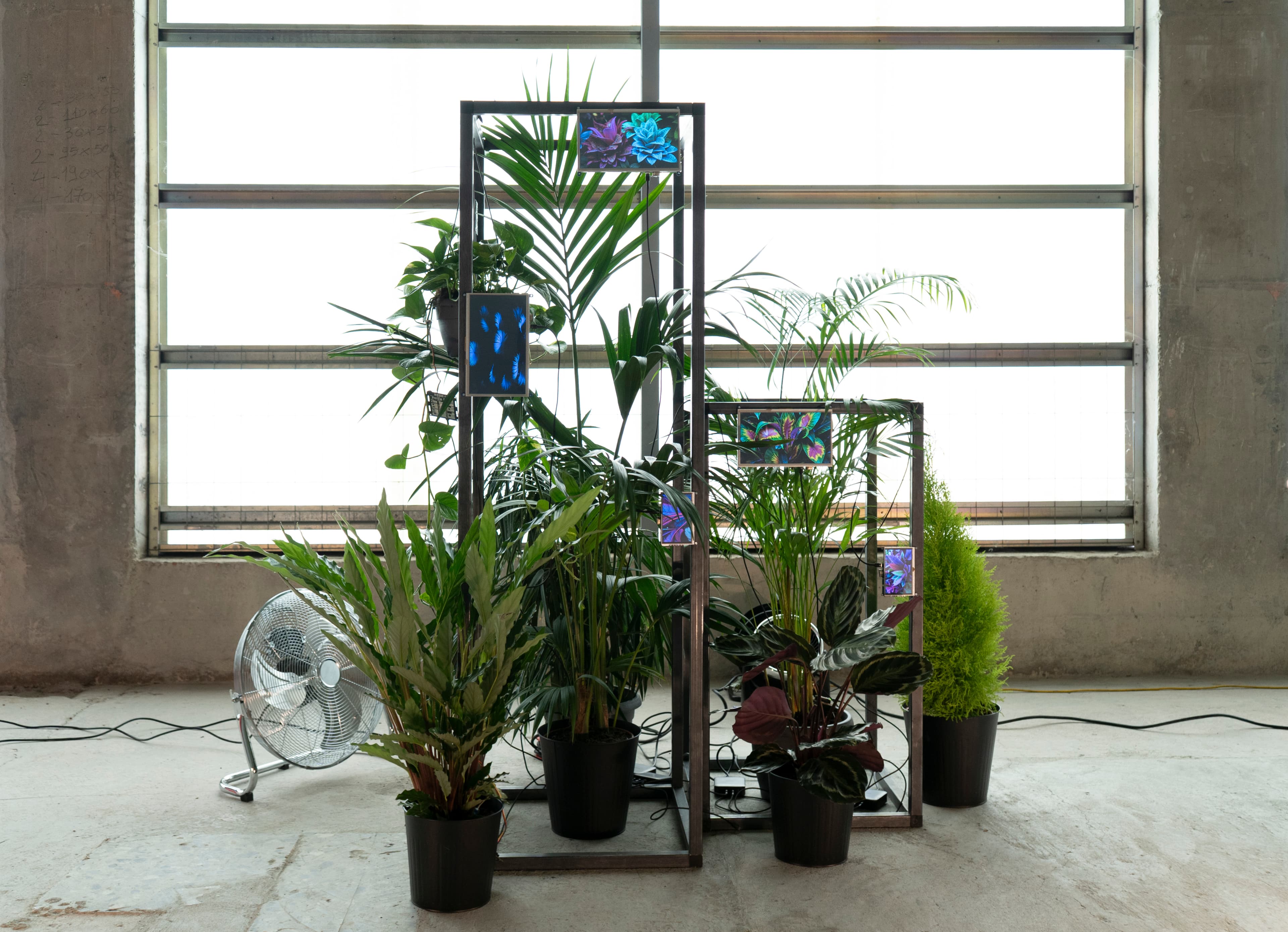 Symbiosis Project Gallery - Image 1