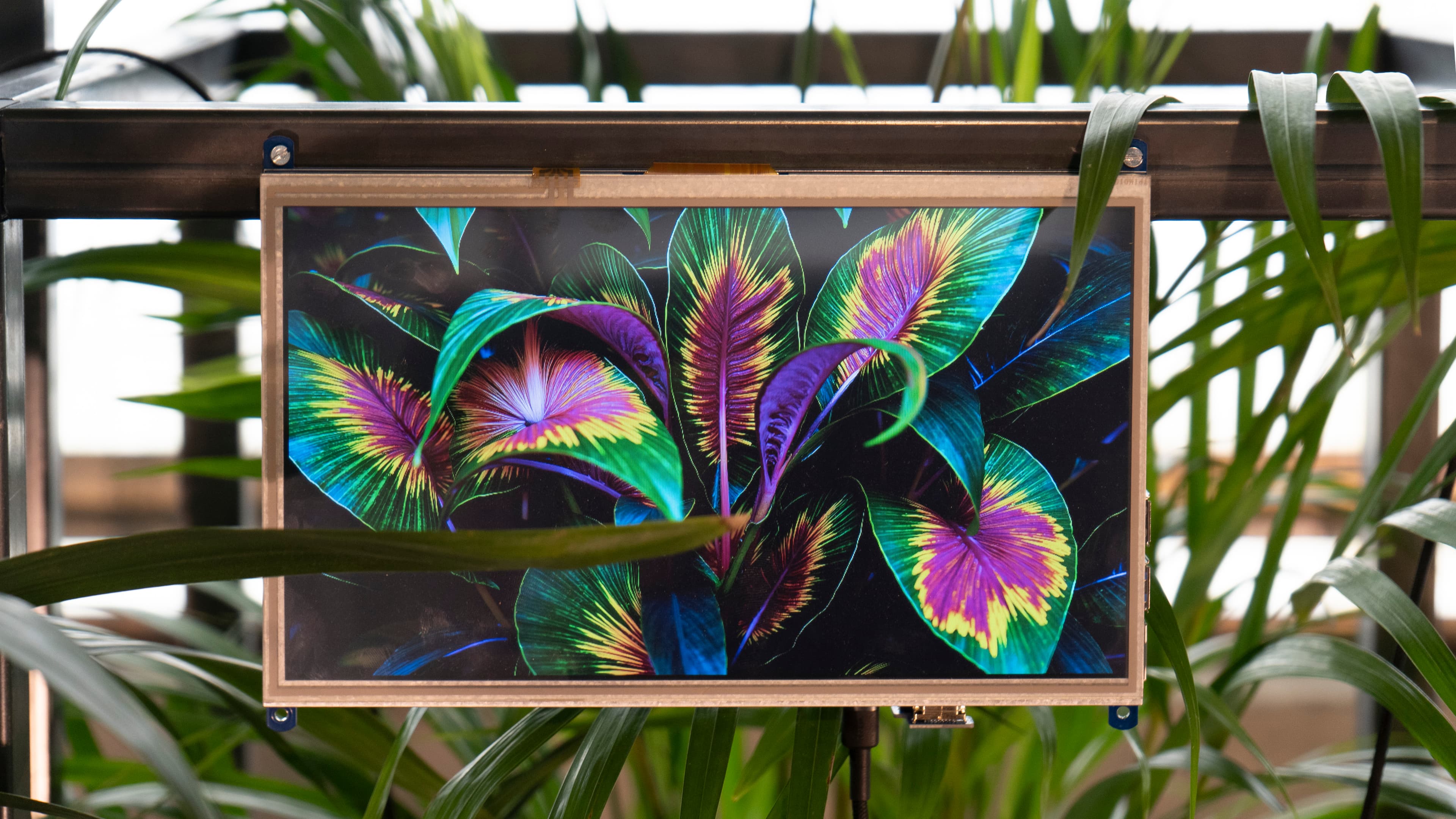 Symbiosis Project Gallery - Image 2