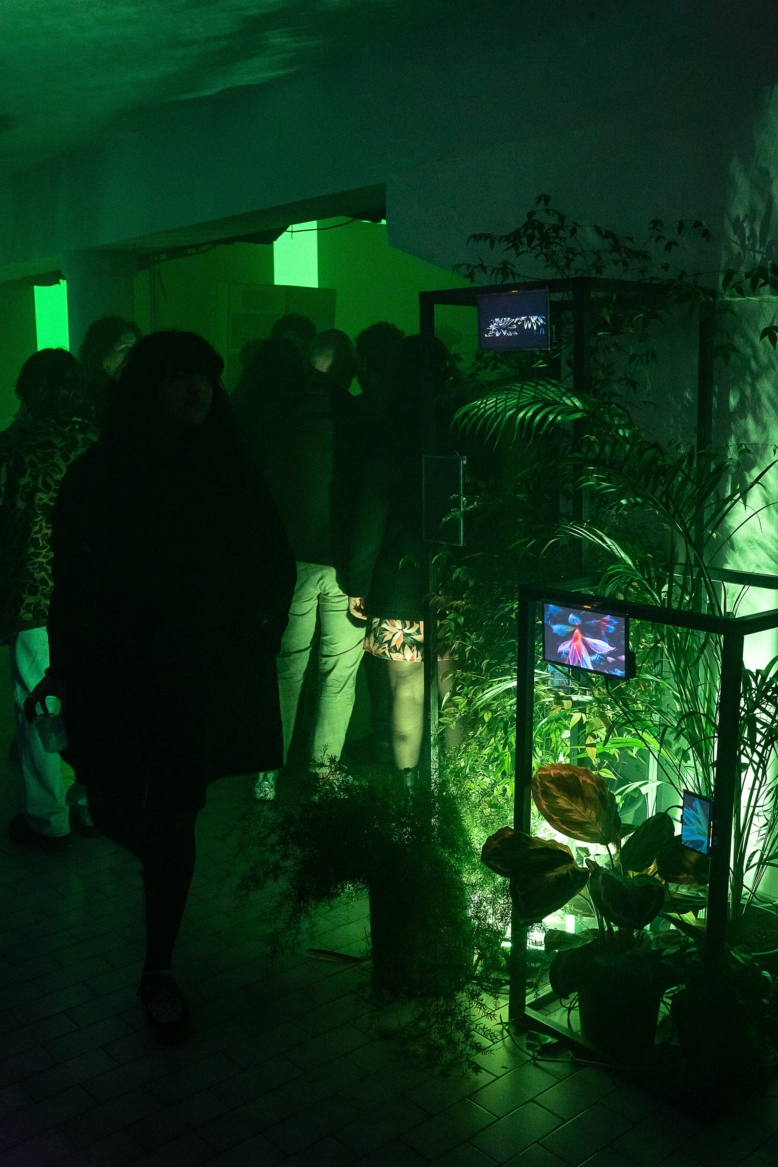 Symbiosis Project Gallery - Image 4
