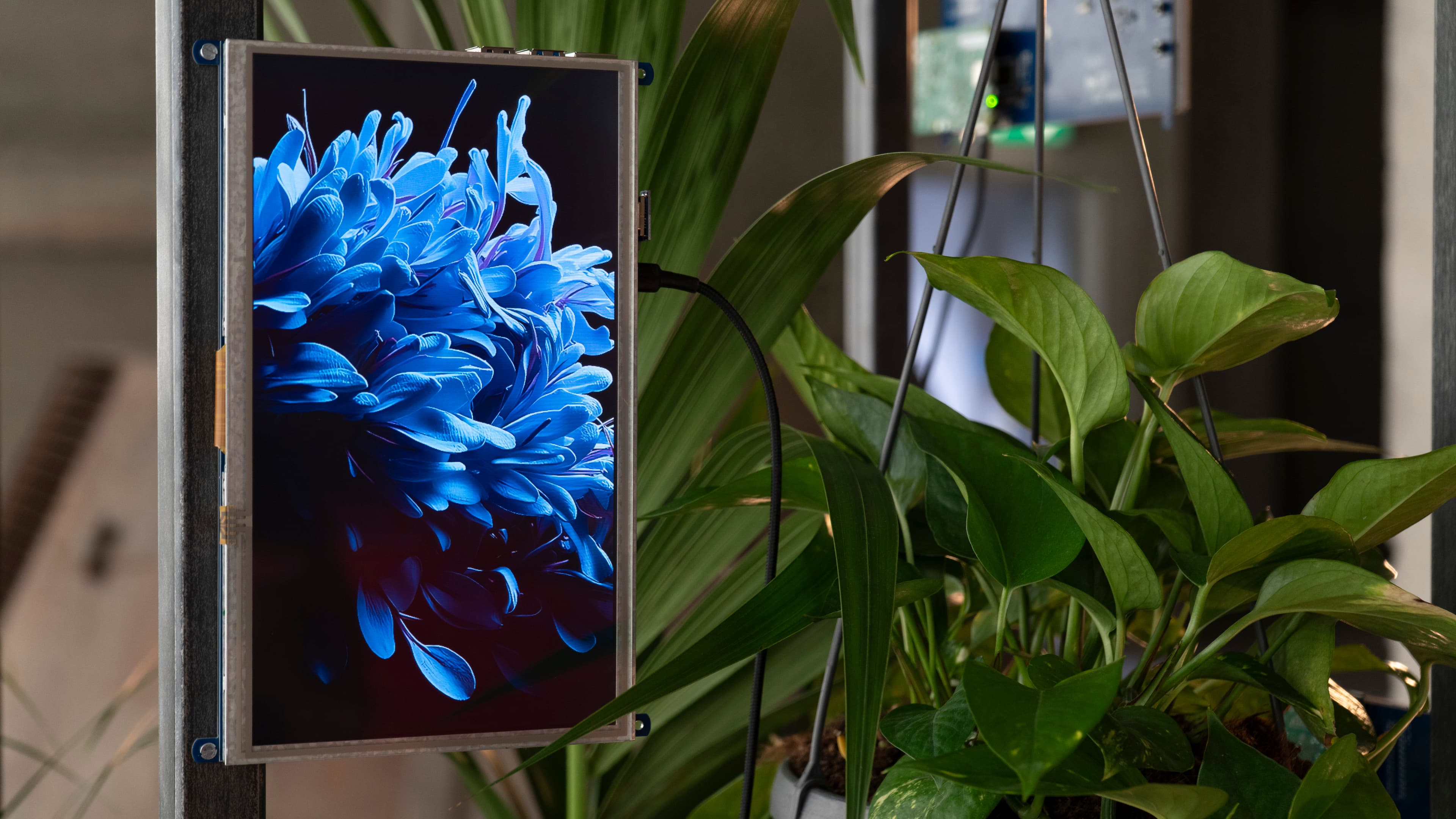Symbiosis Project Gallery - Image 5